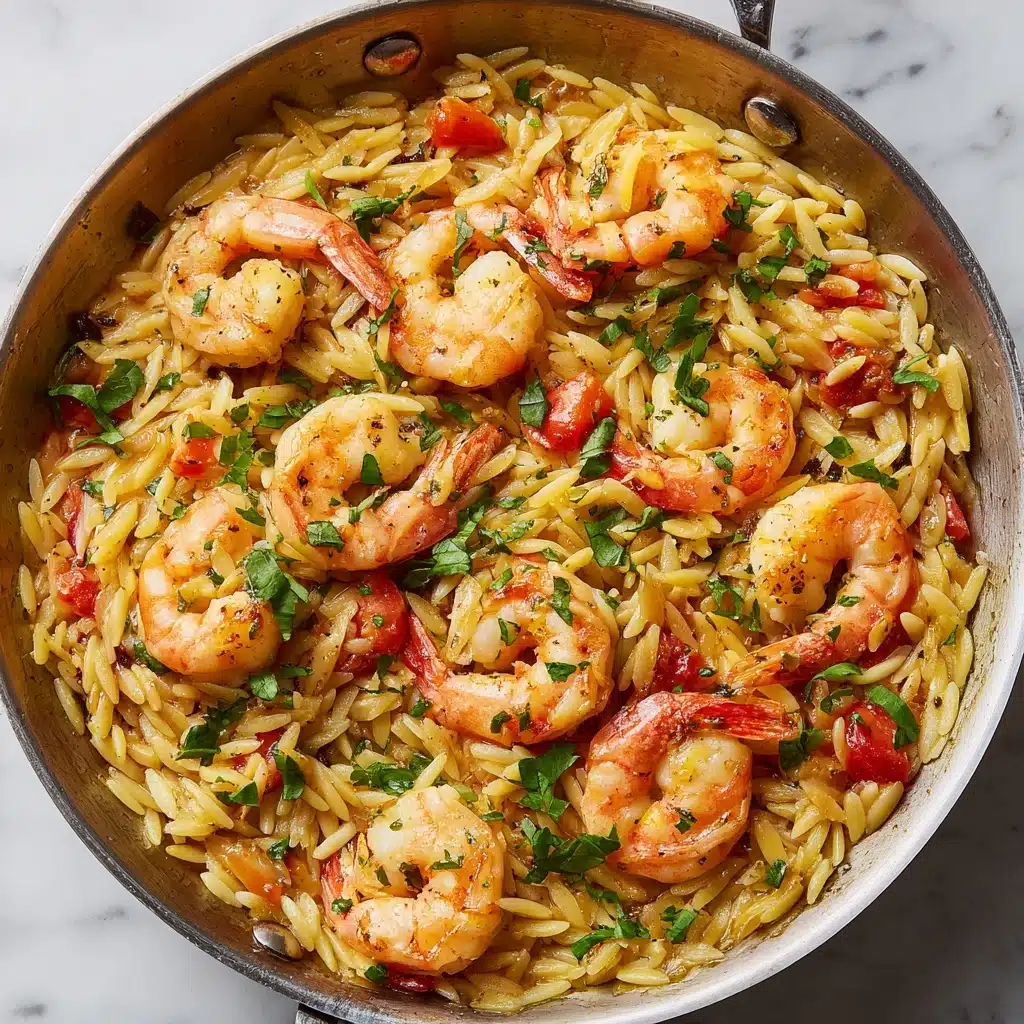 One-Pot Marry Me Shrimp and Orzo Pasta Recipe - Recipe Image