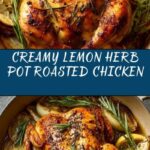 Creamy Lemon Herb Pot Roasted Whole Chicken Recipe