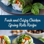 Chicken Spring Rolls Recipe