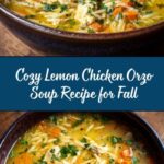Lemon Chicken Orzo Soup Recipe