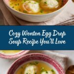 Wonton Egg Drop Soup Recipe