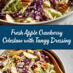 Apple Cranberry Coleslaw Recipe