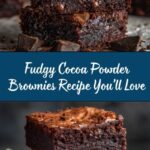 Cocoa Powder Brownies Recipe