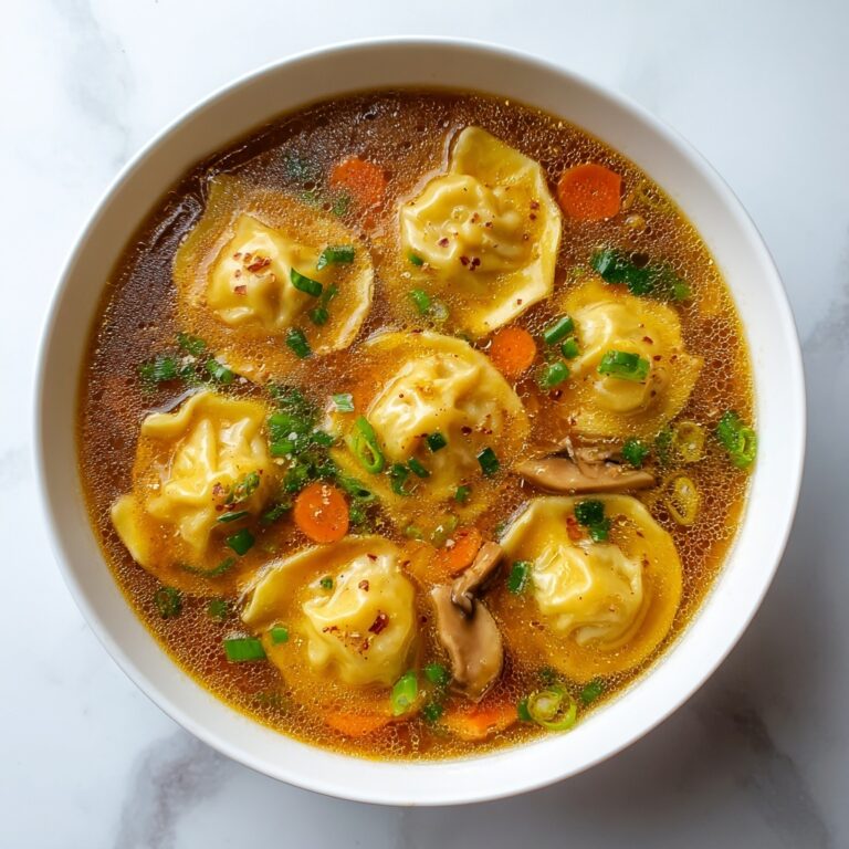 Potsticker Soup Recipe